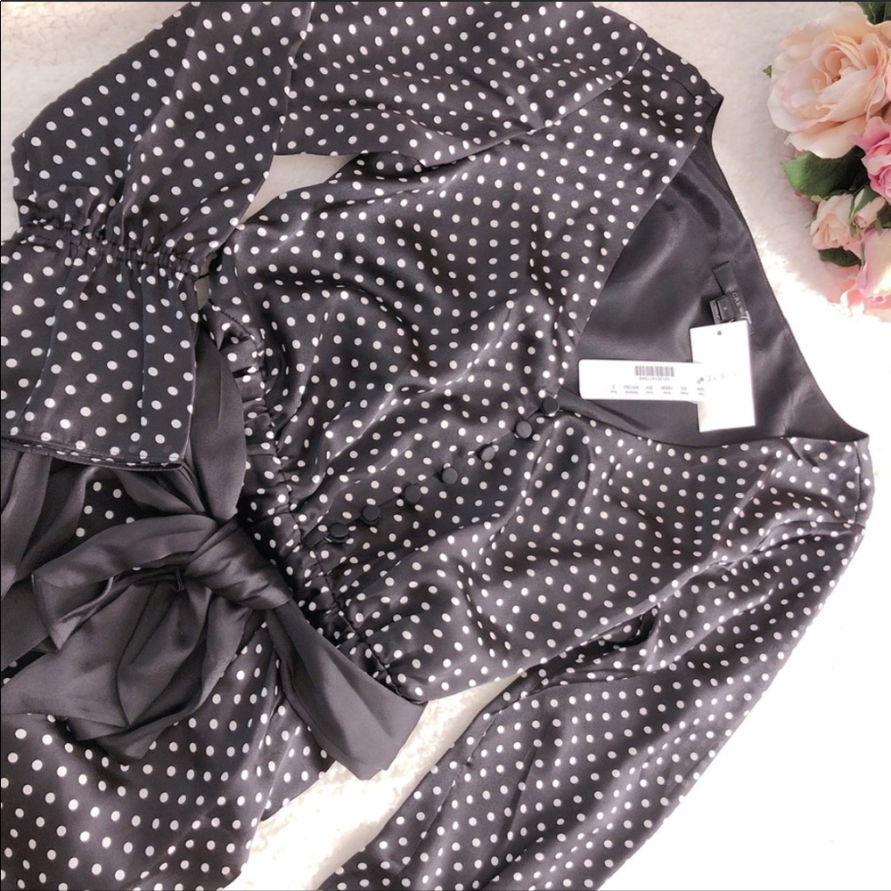 J.Crew Long-sleeve polka dot dress - Picture 5 of 6